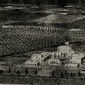 Oliveti-003