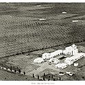 oliveti-002