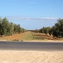 dscf0142strada per leptis magna