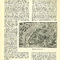 240-Tripoli antica.jpg