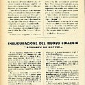 196.jpg