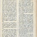 185.jpg