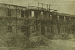 1954